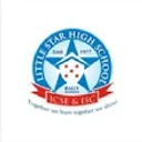 Little Star High School logo