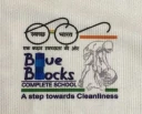 Blue Blocks logo
