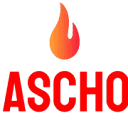 Delhi Tamil Education Association Senior Secondary School logo