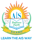 Akash International School logo