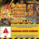 Clarence Public School logo