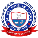 BETHEL MISSION ENGLISH MEDIUM HIGHER SECONDARY SCHOOL logo