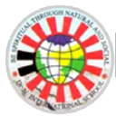 DR N INTERNATIONAL SCHOOL logo
