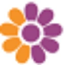 Little Blossom Buds logo