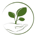 Little Saplings Preschool logo