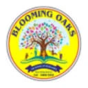 Blooming Oaks Puppalguda logo