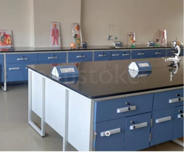 School