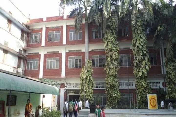 School Cover