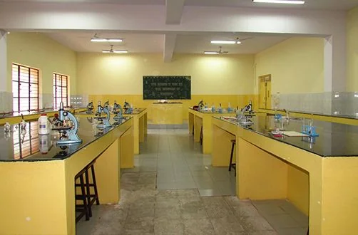 School