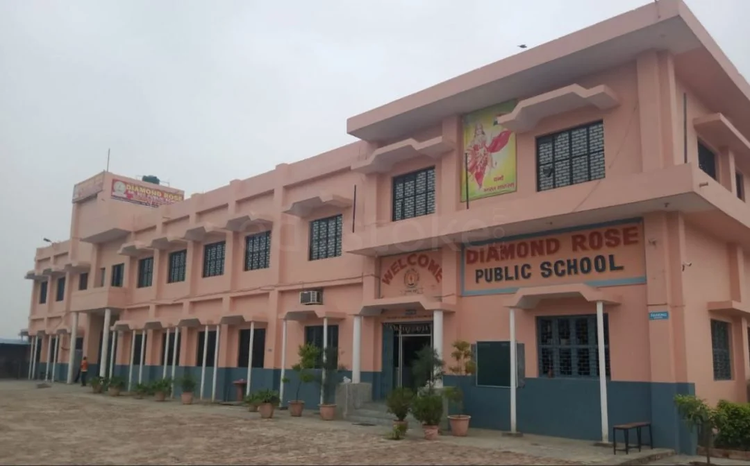 School Cover