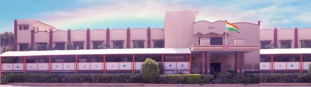 School Cover