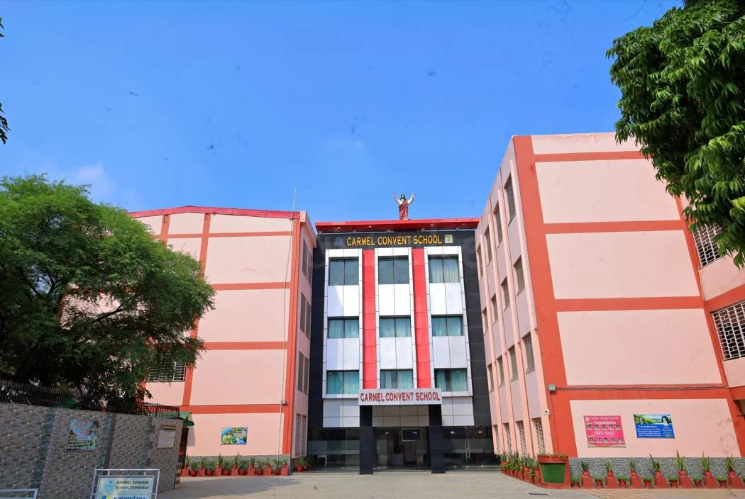 School Cover