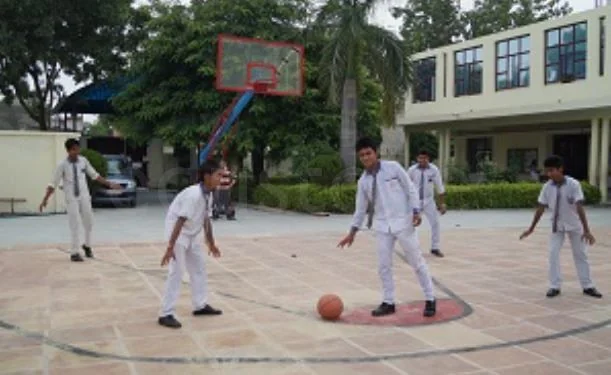 School Cover