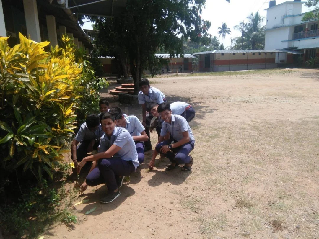School Cover