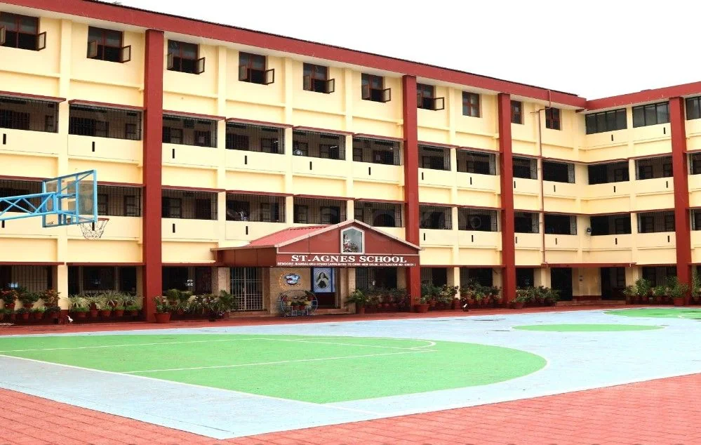 School Cover