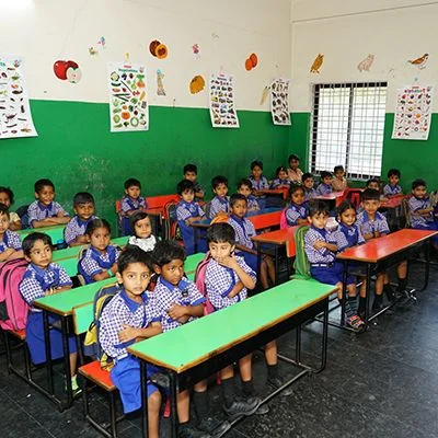 School Cover