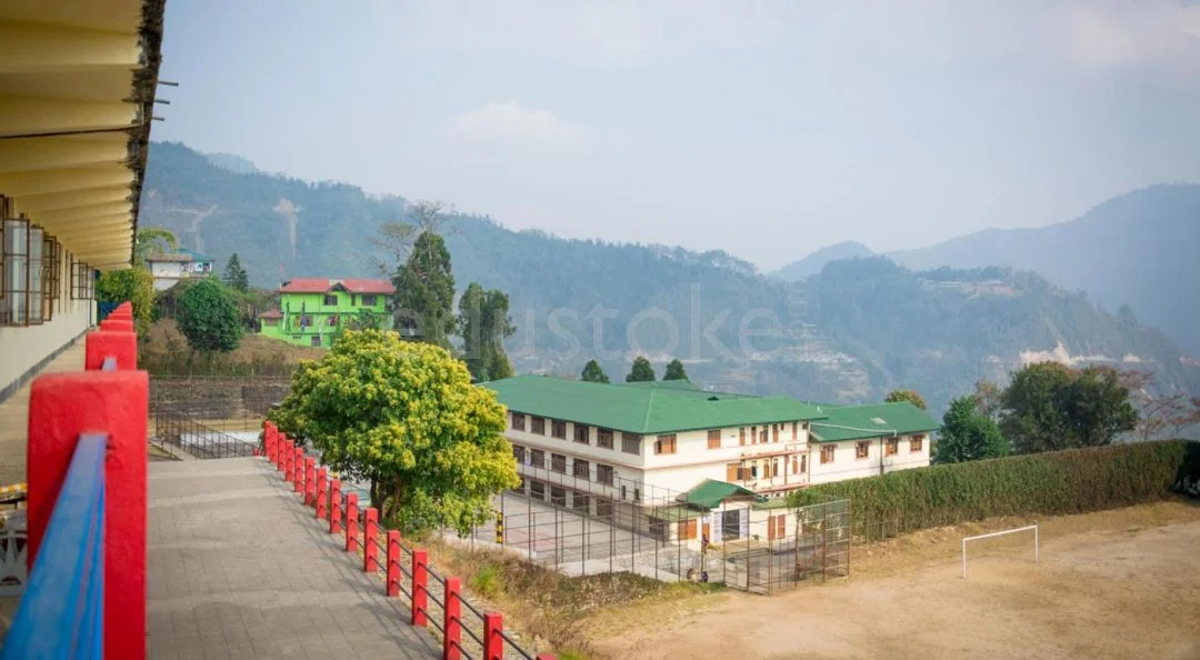 School Cover