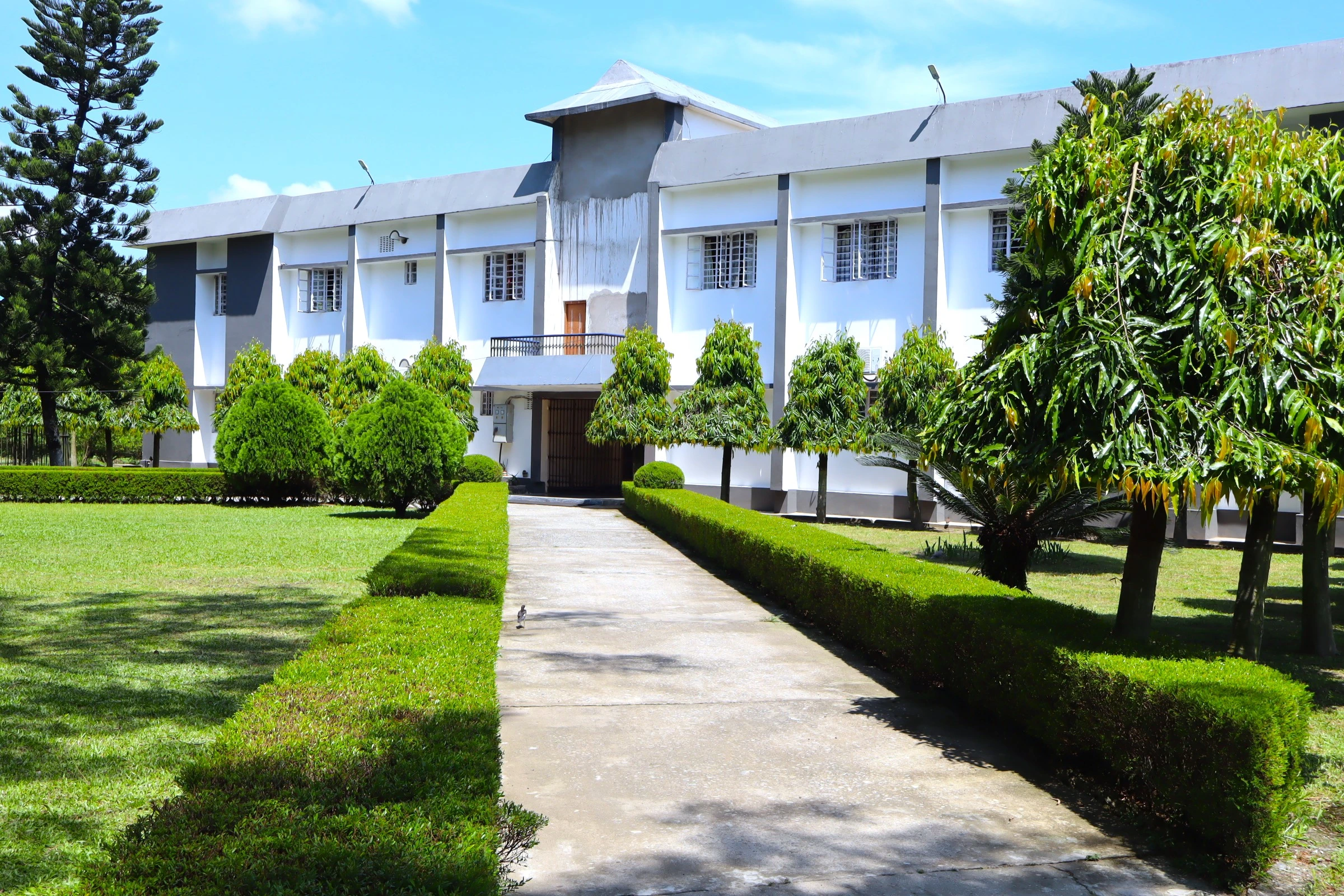 School