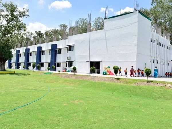School