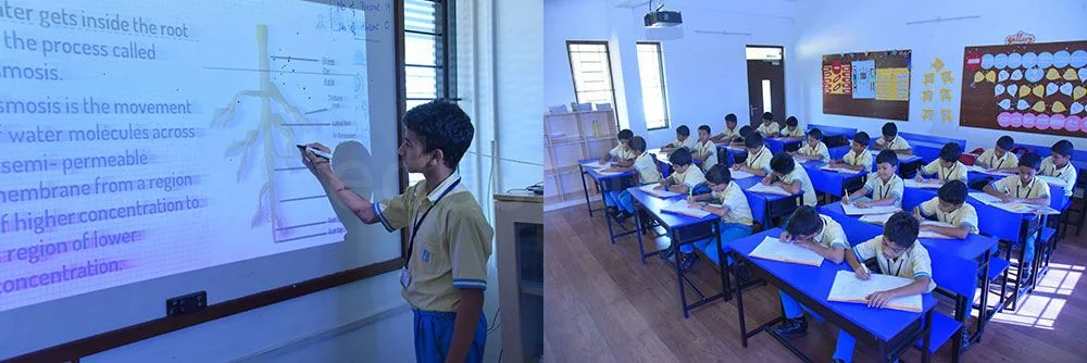 School