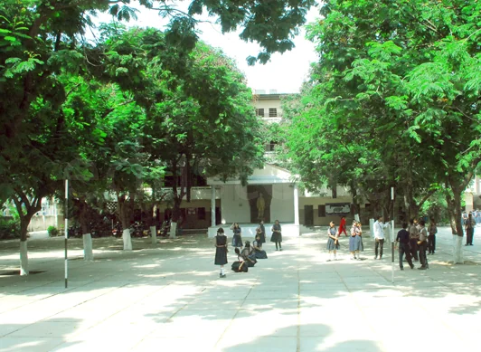School Cover