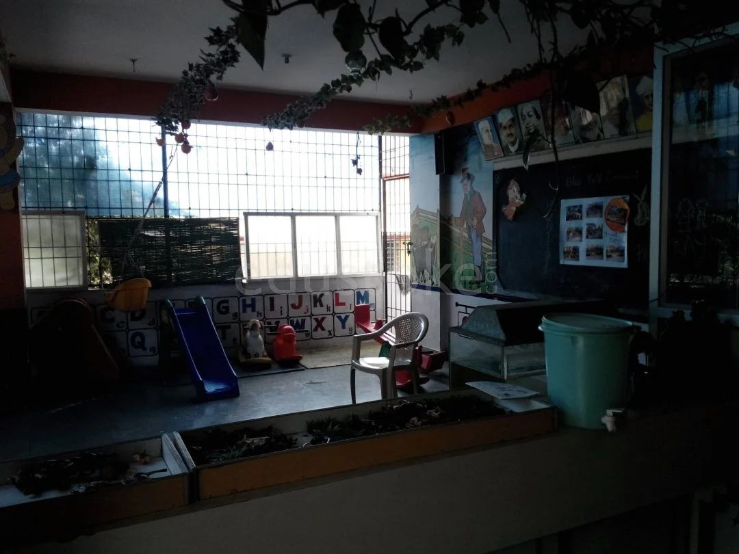 School