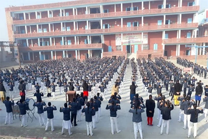 School Cover
