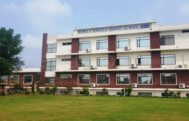 School Cover