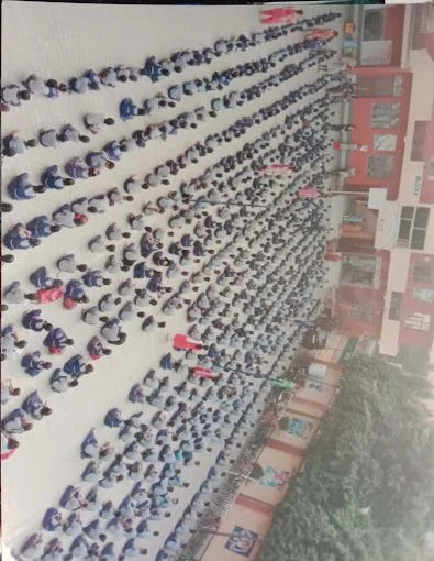 School