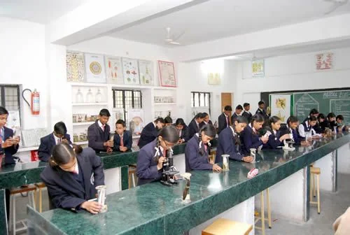 School