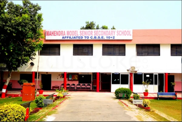 School