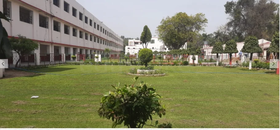 School