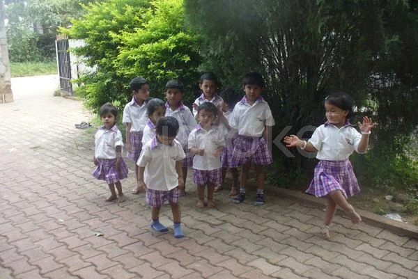 School