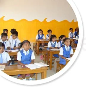 School Cover