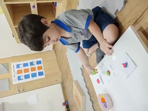 Mindseed Preschool Balewadi logo