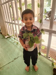 Mindseed Preschool &amp; Daycare, Mahim, Mumbai