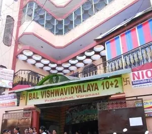 Bal Vidyalaya Madhyamik school logo