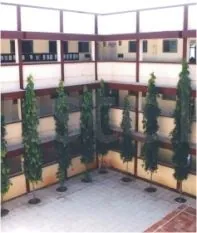 CHINMAYA VIDYALAYA logo