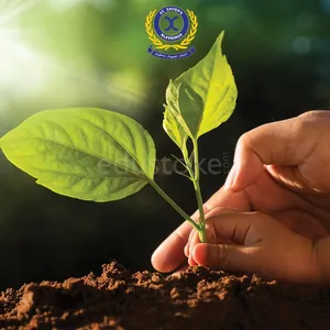 St. Xaviers Blessings School logo