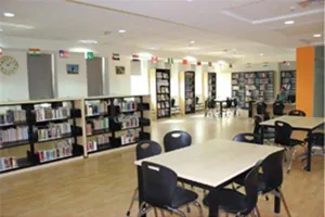 Amity Global School logo