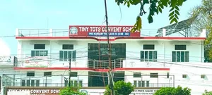 Tiny Tots Convent School logo