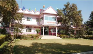 DIVINE DALE INTERNATIONAL SCHOOL logo