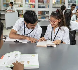 INDIAN ACADEMY PRE UNIVERSITY COLLEGE logo