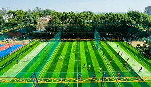 DELHI INTERNATIONAL SCHOOL logo