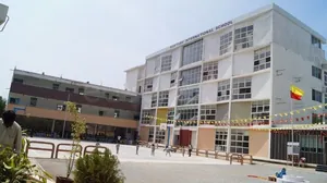 Nurture International School logo