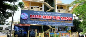 Dream Berry Montessori Play school logo