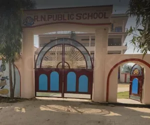 R N Public School logo