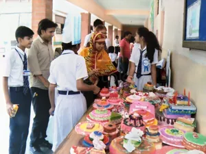 P S M PUBLIC SCHOOL logo