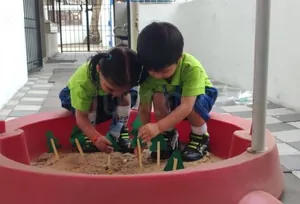 Little Millennium, Trikam Nagar, Surat