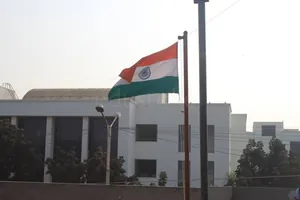 Little Lily Public School logo